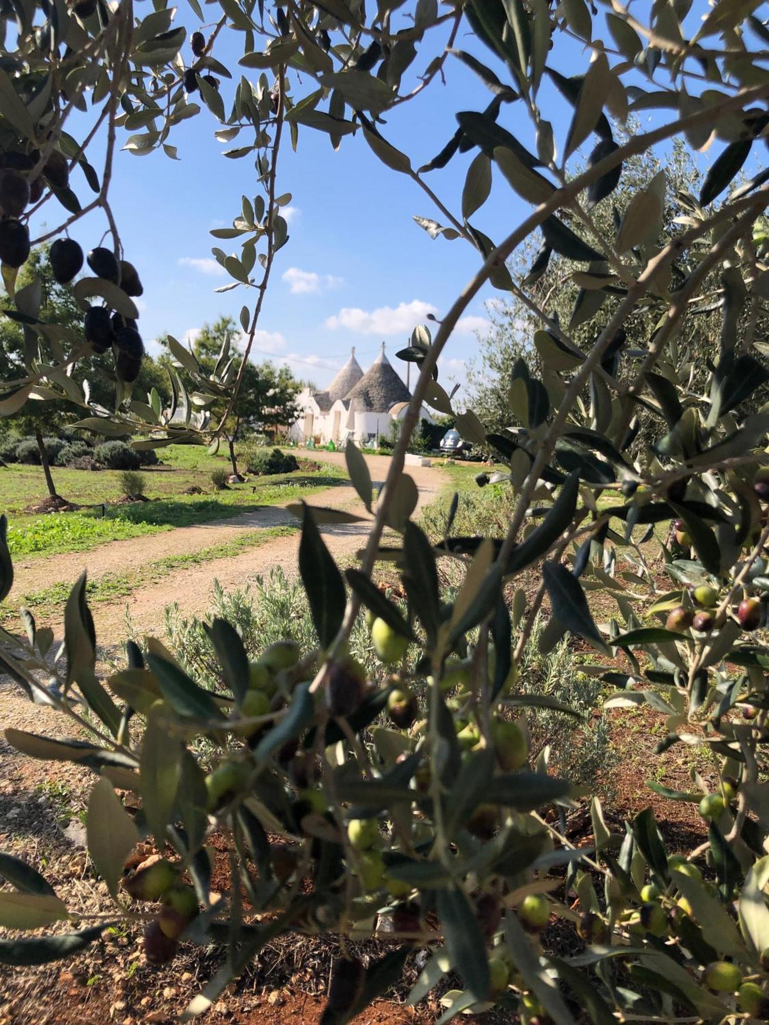 Trullo Trilli Puglia Vila Martina Franca Exterior foto