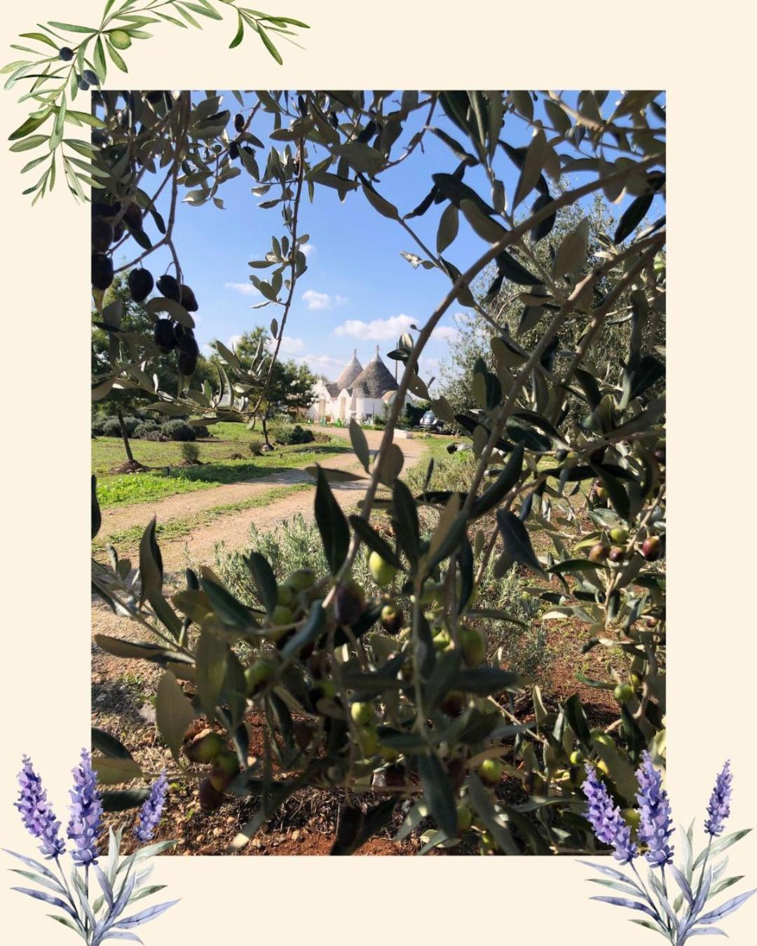 Trullo Trilli Puglia Vila Martina Franca Exterior foto